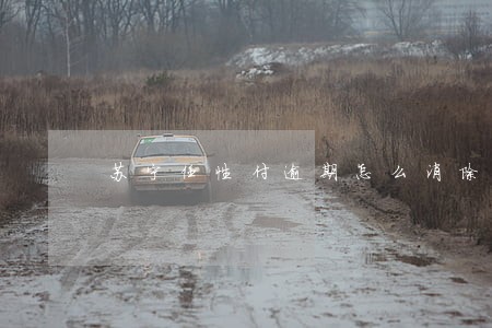 苏宁任性付逾期怎么消除 苏宁任性付逾期怎么消除