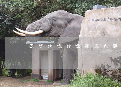 苏宁任性付逾期怎么解冻