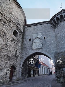 苏宁任性付逾期成呆账 苏宁任性付逾期成呆账