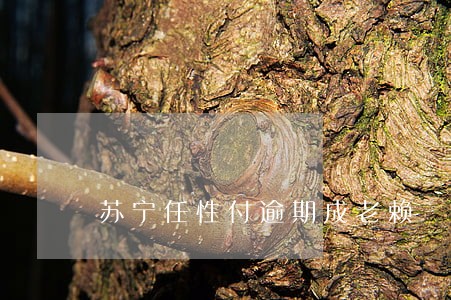 苏宁任性付逾期成老赖 苏宁任性付逾期成老赖
