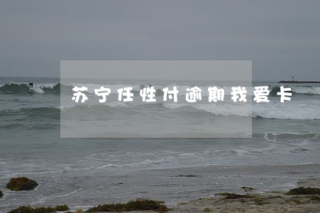 苏宁任性付逾期我爱卡 苏宁任性付逾期我爱卡