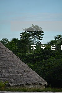 苏宁任性付逾期房贷 苏宁任性付逾期房贷