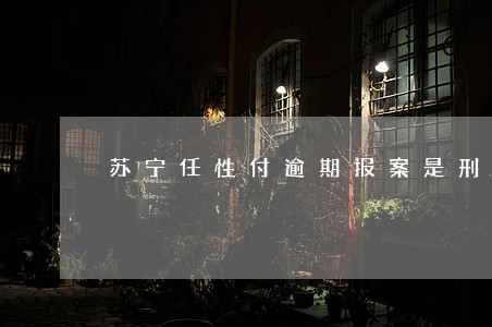苏宁任性付逾期报案是刑事吗 苏宁任性付逾期报案是刑事吗