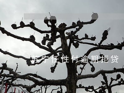 苏宁任性付逾期拒贷 苏宁任性付逾期拒贷