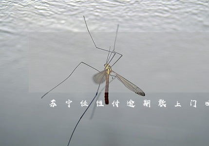 苏宁任性付逾期敢上门吗 苏宁任性付逾期敢上门吗