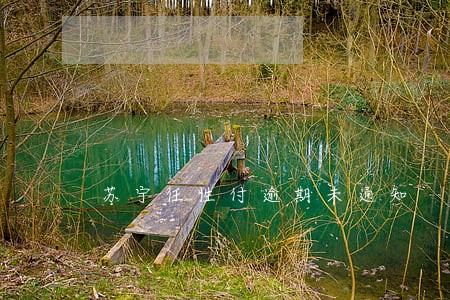 苏宁任性付逾期未通知 苏宁任性付逾期未通知