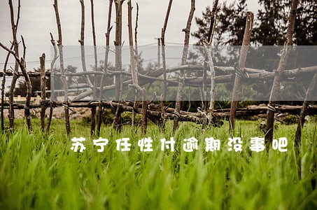 苏宁任性付逾期没事吧 苏宁任性付逾期没事吧