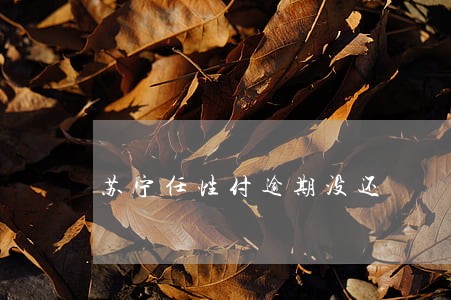 苏宁任性付逾期没还 苏宁任性付逾期没还
