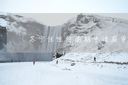 苏宁任性付逾期申请庭审是真是假 苏宁任性付逾期申请庭审是真是假