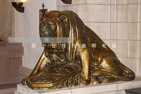 苏宁任性付逾期电话 苏宁任性付逾期电话