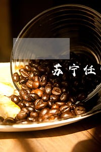 苏宁任性付逾期立案排期 苏宁任性付逾期立案排期