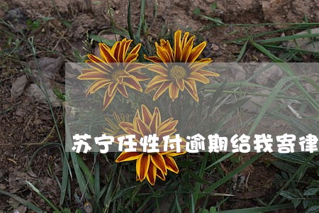苏宁任性付逾期给我寄律师函 苏宁任性付逾期给我寄律师函