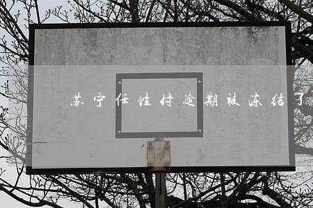 苏宁任性付逾期被冻结了怎么办 苏宁任性付逾期被冻结了怎么办