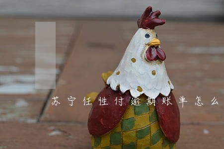 苏宁任性付逾期账单怎么还款 苏宁任性付逾期账单怎么还款