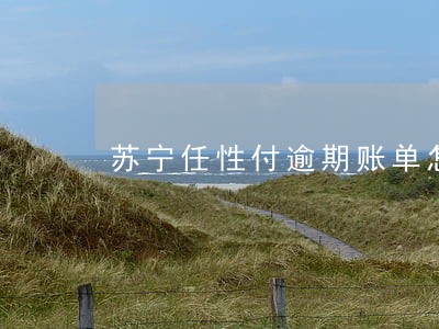 苏宁任性付逾期账单怎么还款吗 苏宁任性付逾期账单怎么还款吗