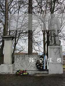 苏宁任性付逾期还上被冻结了 苏宁任性付逾期还上被冻结了