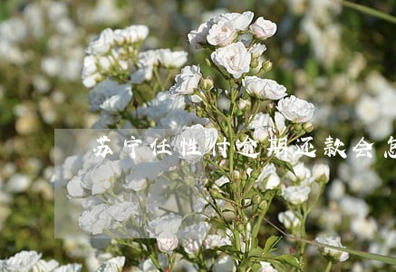 苏宁任性付逾期还款会怎样 苏宁任性付逾期还款会怎样