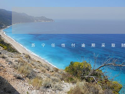 苏宁任性付逾期采取财产保全 苏宁任性付逾期采取财产保全