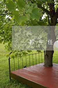 苏宁任性借只还本金 苏宁任性借只还本金