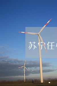 苏宁任性借逾期一天 苏宁任性借逾期一天