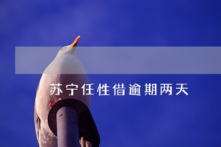 苏宁任性借逾期两天