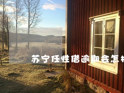 苏宁任性借逾期会怎样 苏宁任性借逾期会怎样