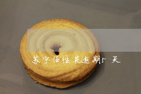 苏宁任性花逾期5天
