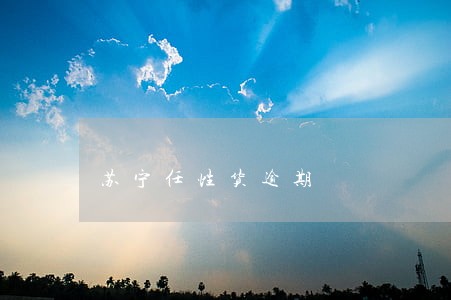 苏宁任性货逾期