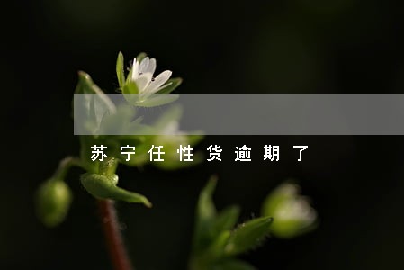 苏宁任性货逾期了 苏宁任性货逾期了
