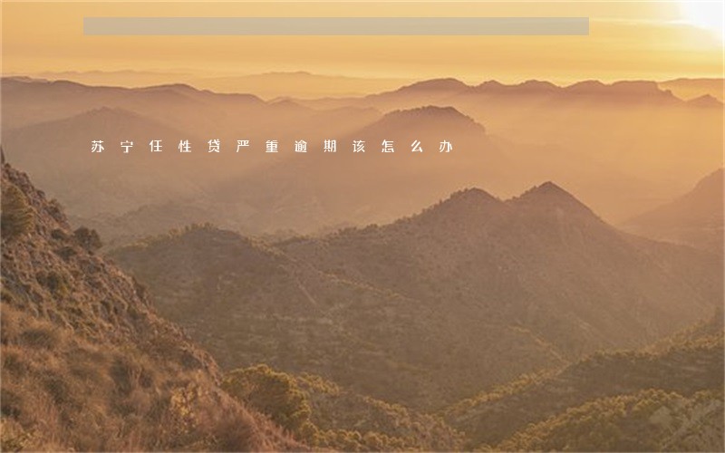 苏宁任性贷严重逾期该怎么办 苏宁任性贷严重逾期该怎么办