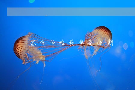 苏宁任性贷准备逾期 苏宁任性贷准备逾期