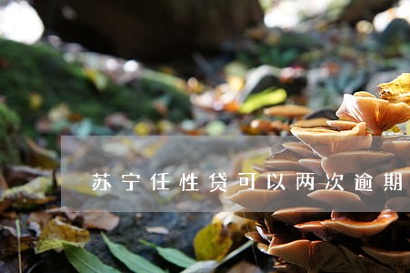 苏宁任性贷可以两次逾期吗 苏宁任性贷可以两次逾期吗