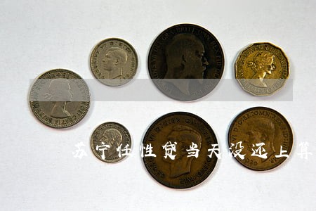 苏宁任性贷当天没还上算逾期吗 苏宁任性贷当天没还上算逾期吗