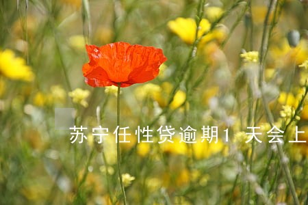 苏宁任性贷逾期1天会上征信吗 苏宁任性贷逾期1天会上征信吗