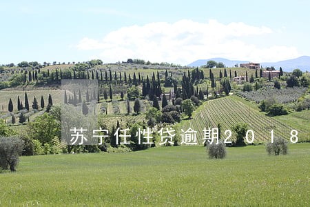 苏宁任性贷逾期2018 苏宁任性贷逾期2018