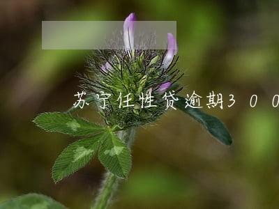 苏宁任性贷逾期300天 苏宁任性贷逾期300天