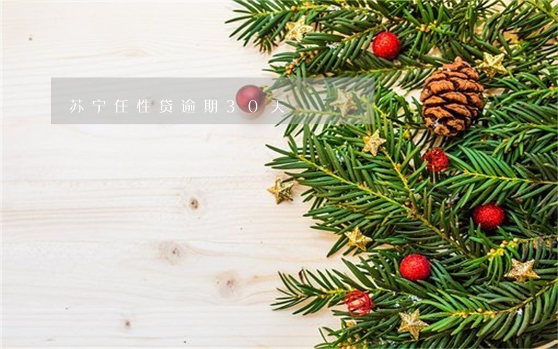 苏宁任性贷逾期30天 苏宁任性贷逾期30天