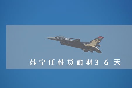 苏宁任性贷逾期36天 苏宁任性贷逾期36天