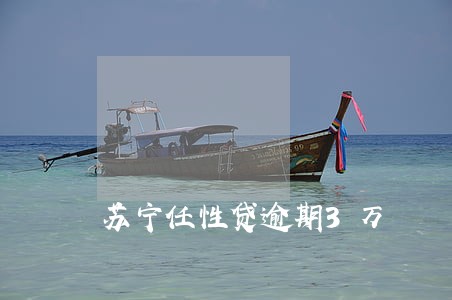 苏宁任性贷逾期3万 苏宁任性贷逾期3万