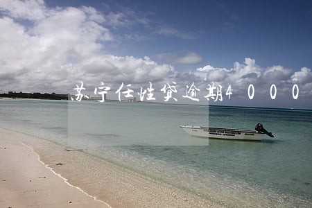 苏宁任性贷逾期4000 苏宁任性贷逾期4000