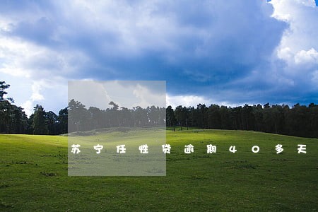 苏宁任性贷逾期40多天