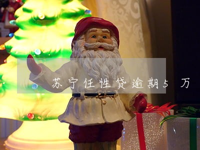 苏宁任性贷逾期5万 苏宁任性贷逾期5万