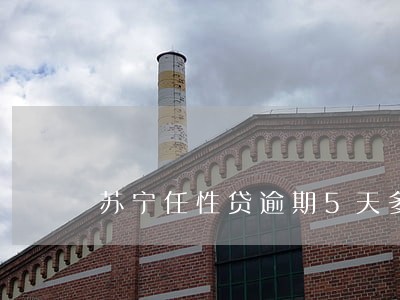 苏宁任性贷逾期5天多久解冻 苏宁任性贷逾期5天多久解冻