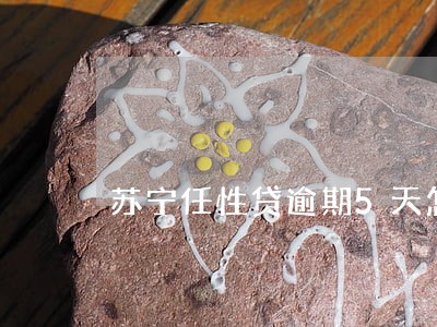 苏宁任性贷逾期5天怎么样 苏宁任性贷逾期5天怎么样