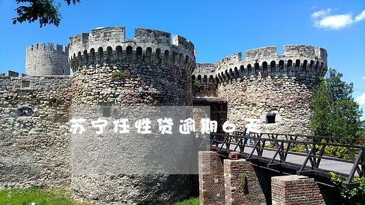 苏宁任性贷逾期6天 苏宁任性贷逾期6天