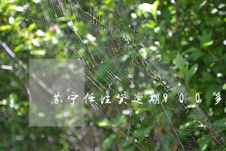 苏宁任性贷逾期900多天 苏宁任性贷逾期900多天