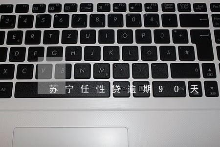 苏宁任性贷逾期90天 苏宁任性贷逾期90天