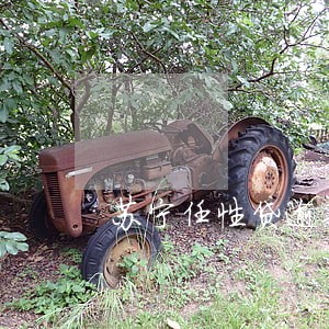 苏宁任性贷逾期一个月 苏宁任性贷逾期一个月