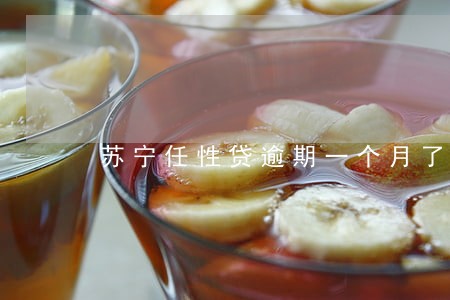 苏宁任性贷逾期一个月了 苏宁任性贷逾期一个月了
