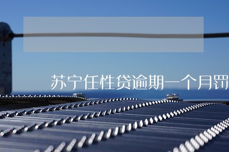 苏宁任性贷逾期一个月罚息多少
